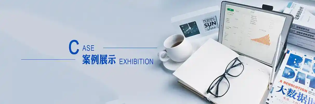 铜陵软件开发